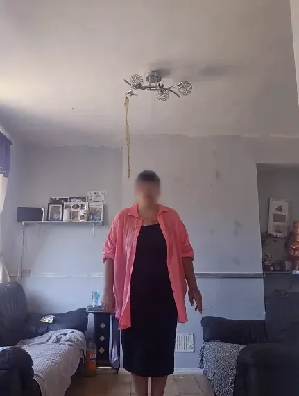 Feline, 35