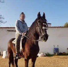Marije, 31